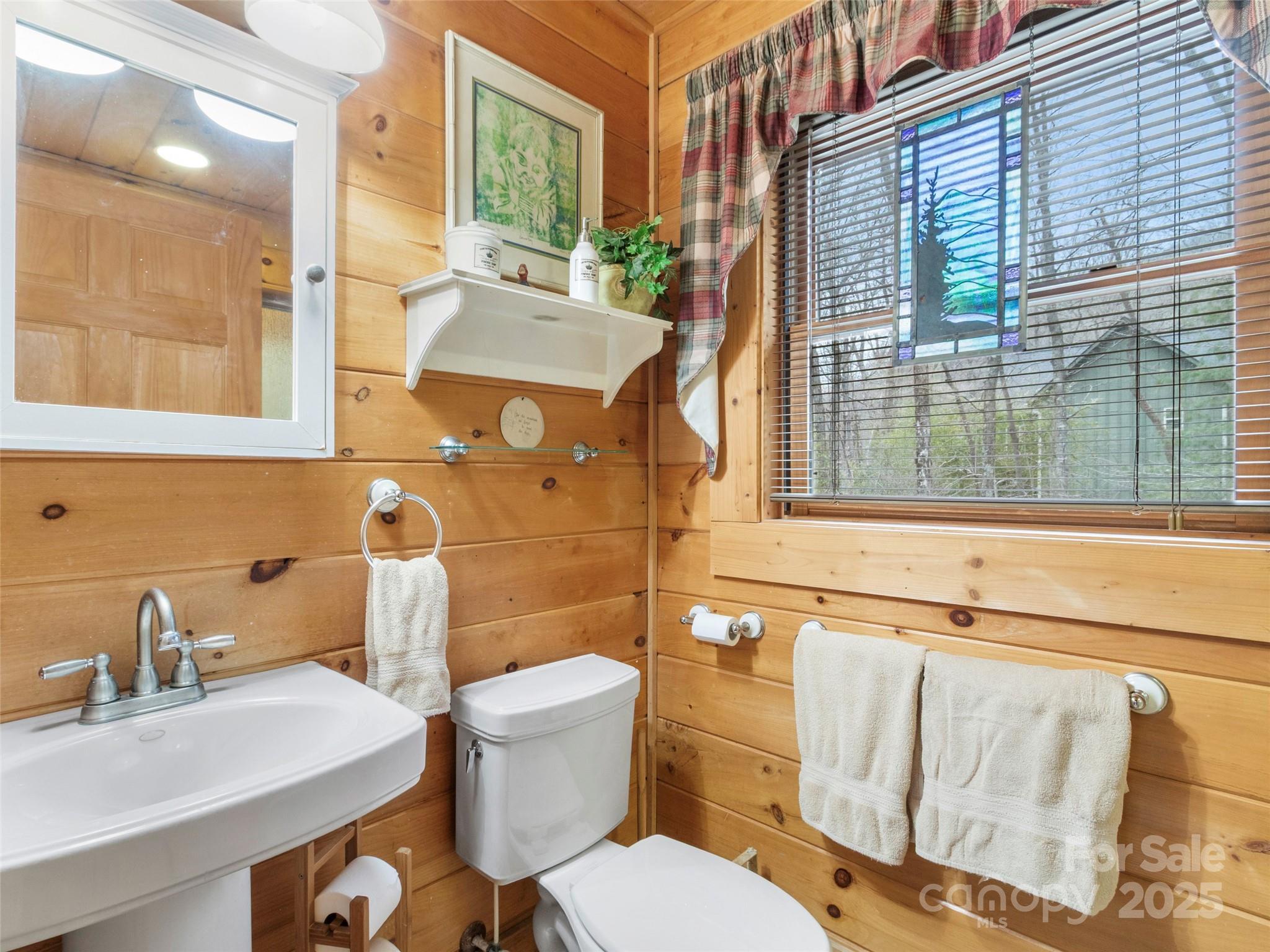 741 South Toe River Road Burnsville, NC 28714 - Photo 30 of 41 a bathroom with a sink a toilet and shower