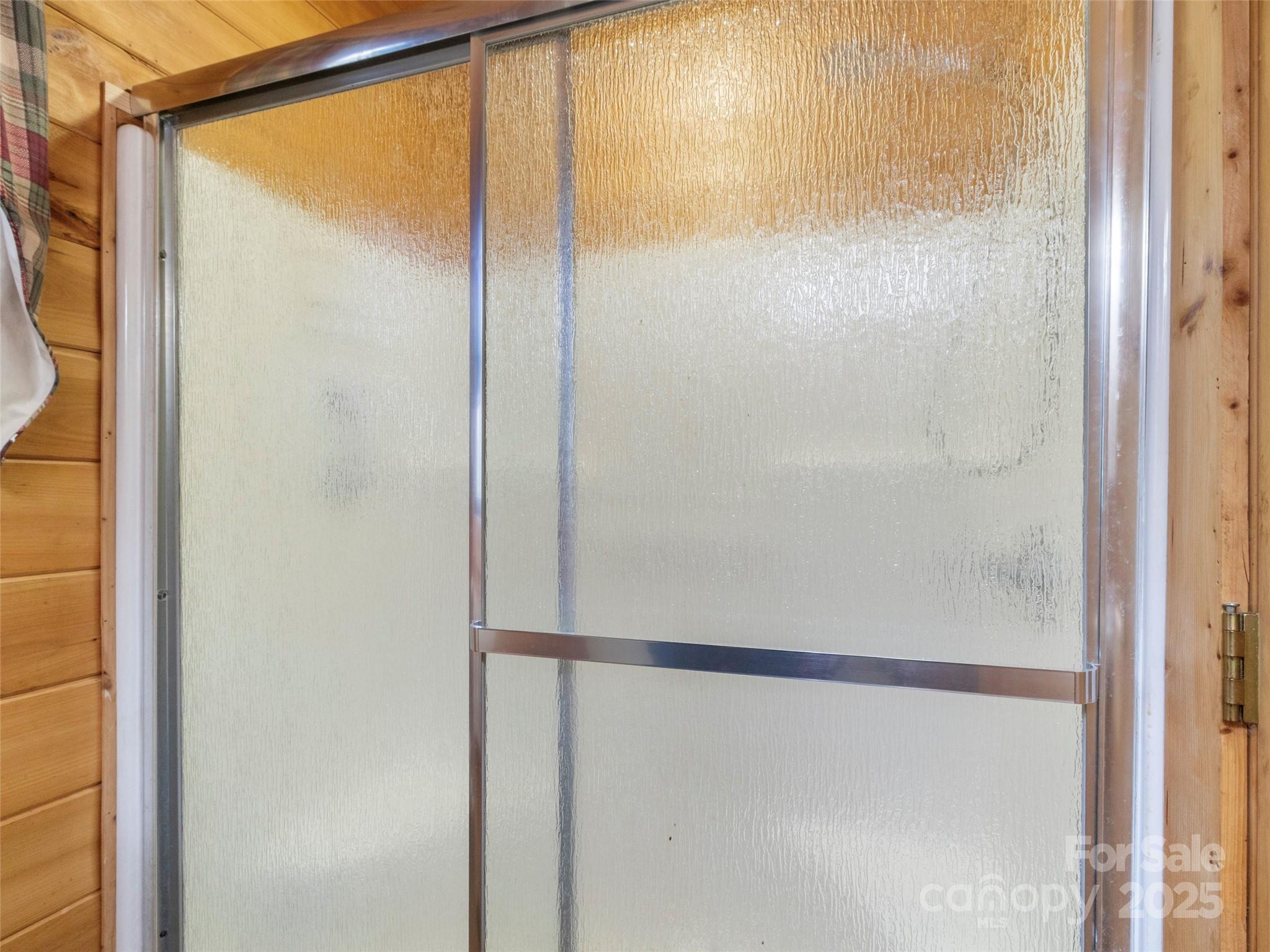 741 South Toe River Road Burnsville, NC 28714 - Photo 31 of 41 a bathroom with a glass shower door