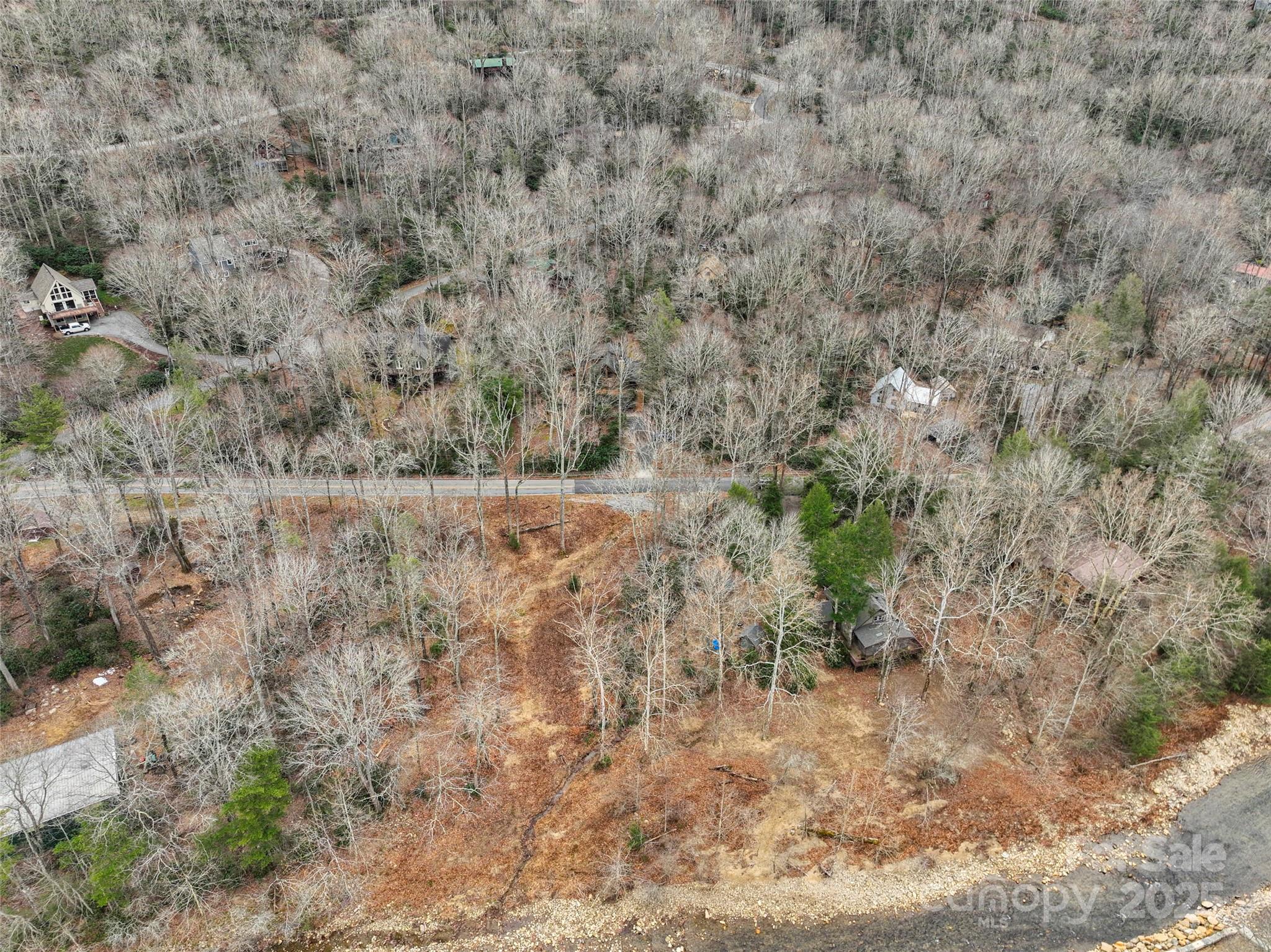 741 South Toe River Road Burnsville, NC 28714 - Photo 37 of 41 a view of a dry yard