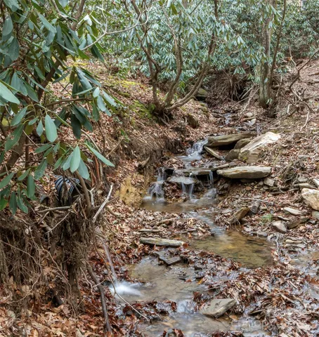 a view of outdoor space and a forest