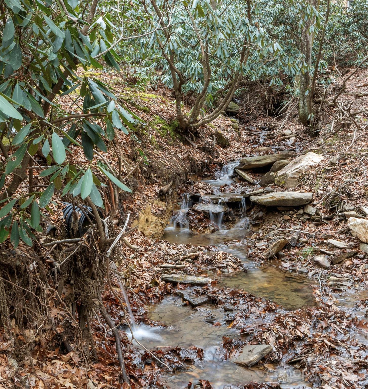 741 South Toe River Road Burnsville, NC 28714 - Photo 10 of 41 a view of outdoor space and a forest