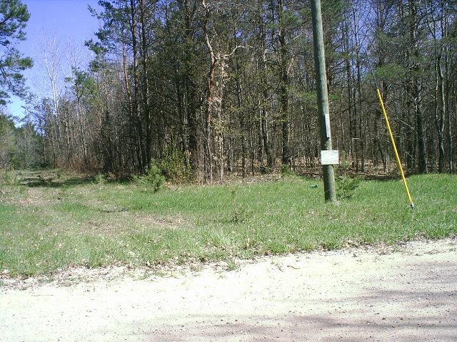 365 East Simpson Road Mancelona, MI 49659 - Photo 10 of 10 1832073-9.JPG