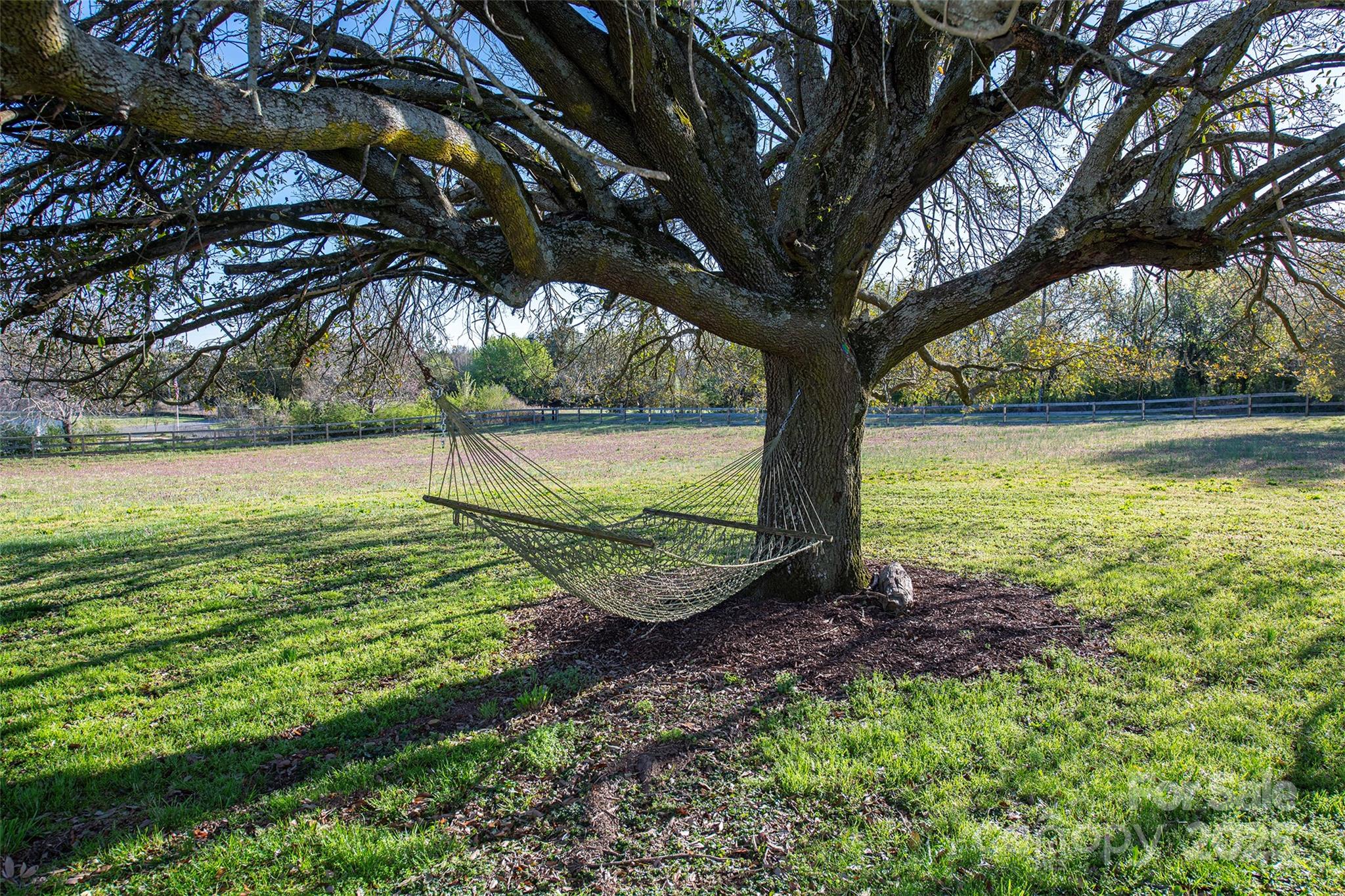1615 Stack Road Monroe, NC 28112 - Photo 39 of 43 a view of a yard with a tree