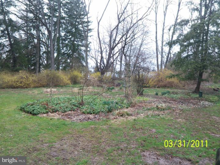 815 Wells Road Phoenixville, PA 19460 - Photo 15 of 18 Back Yard