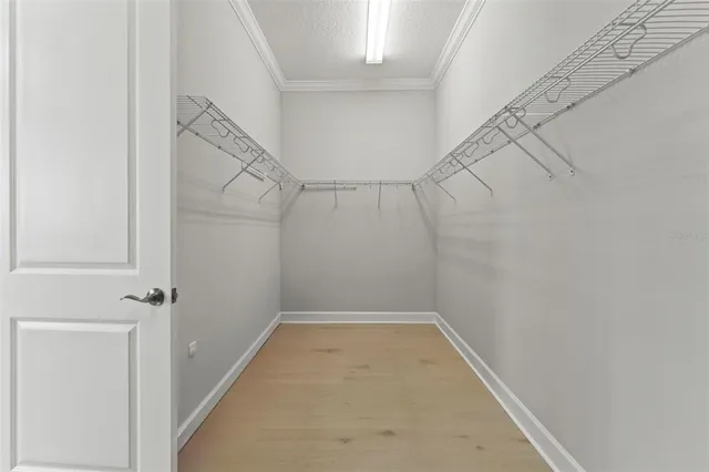 $2,395,000 | 4148 Rocky Shores Drive, Tampa, FL 33634