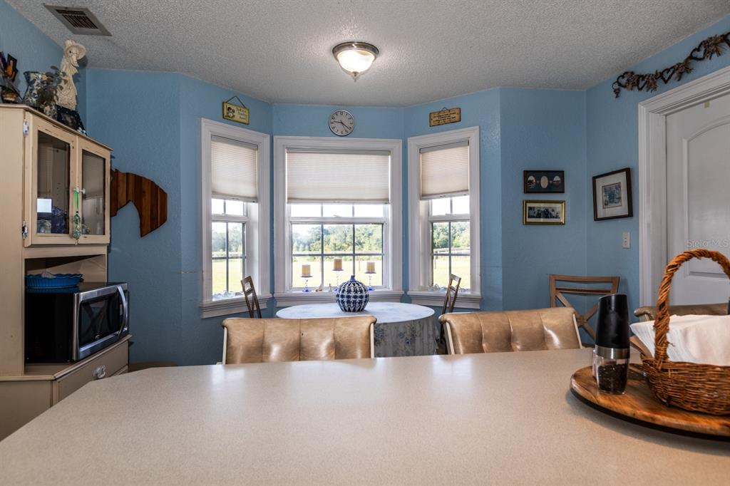 24948 Walkabout Ranch Road Sorrento, FL 32776 - Photo 14 of 70