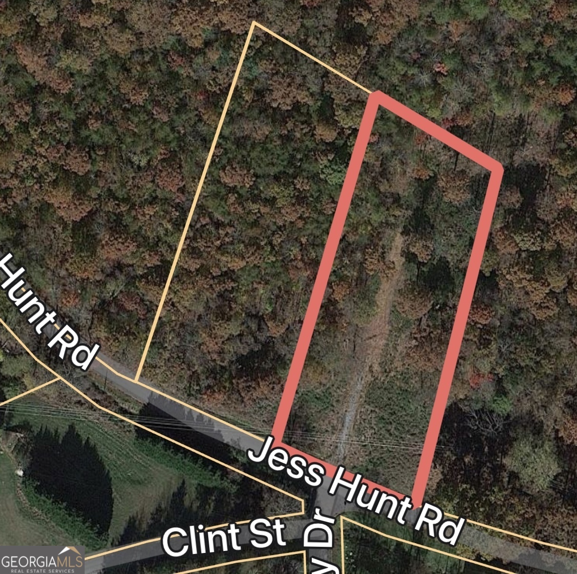 0 Jess Hunt Road Cleveland, GA 30528 - Photo 1 of 1 Gallery Image 1