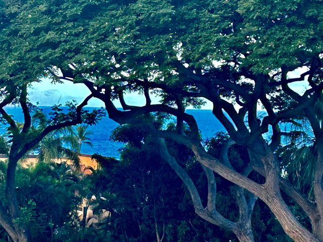 $3,100,000 | 72 Kai Malu Drive, Unit 13A, Kihei, HI 96753