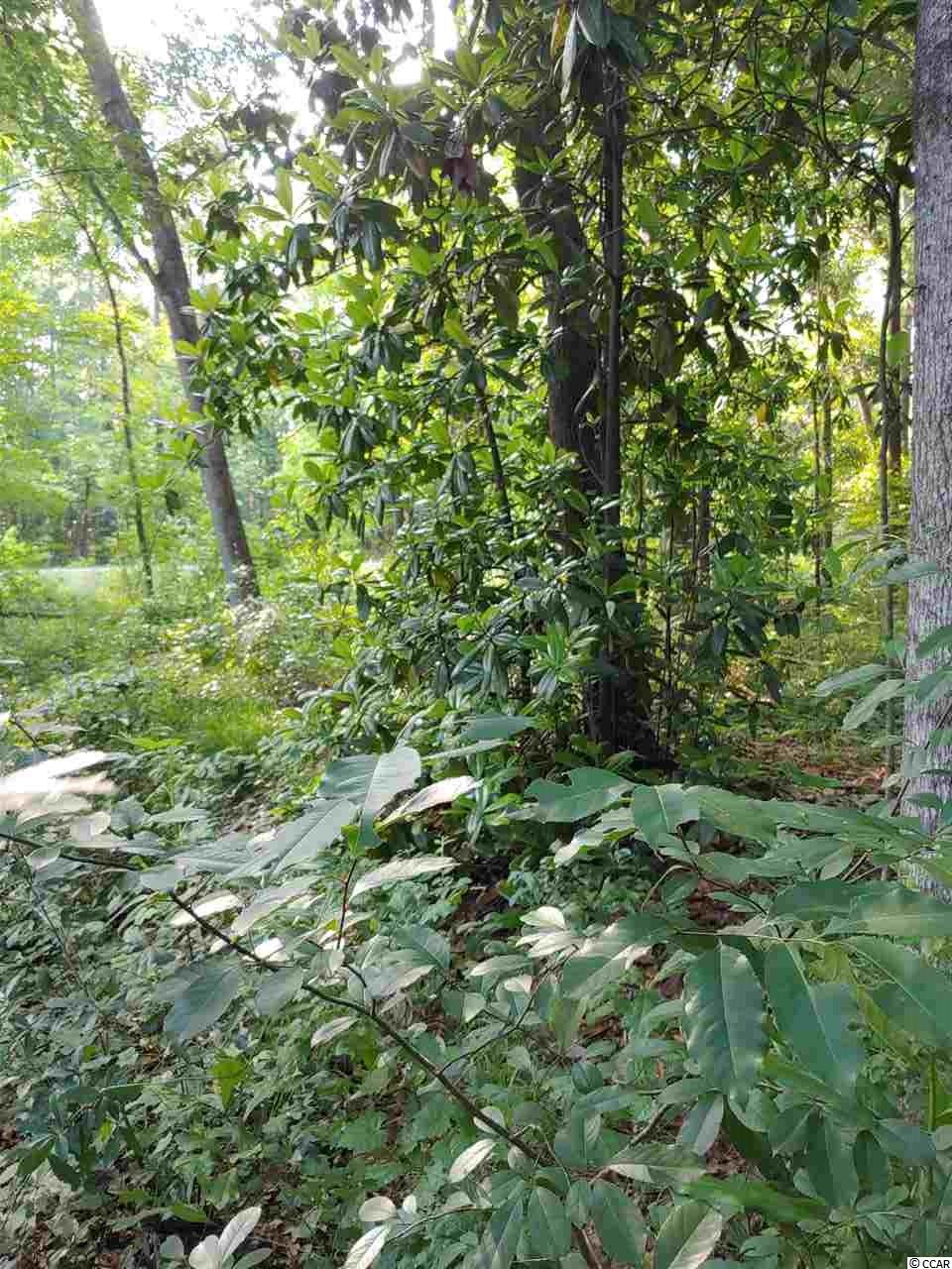 8292 North Fraser Street Georgetown, SC 29440 - Photo 2 of 3 Gallery Image 2