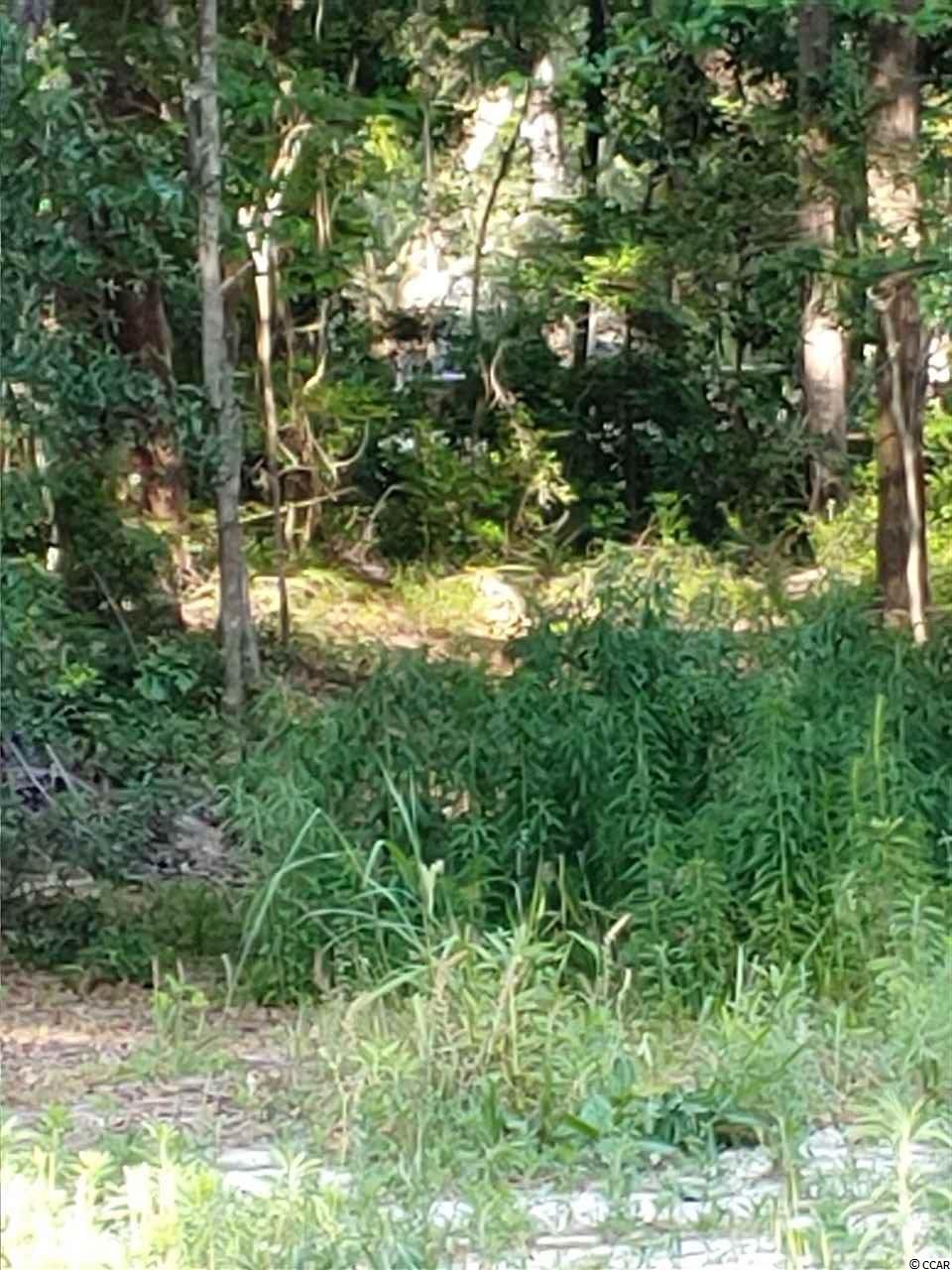 8292 North Fraser Street Georgetown, SC 29440 - Photo 3 of 3 Gallery Image 3