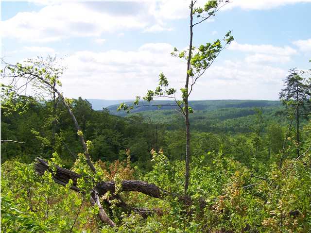 43 Daus Mtn Road Palmer, TN 37327 - Photo 3 of 9 Additional Photo
