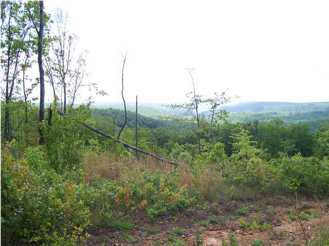 43 Daus Mtn Road Palmer, TN 37327 - Photo 9 of 9 Additional Photo