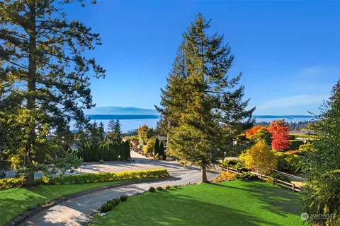a view of a park with a tree