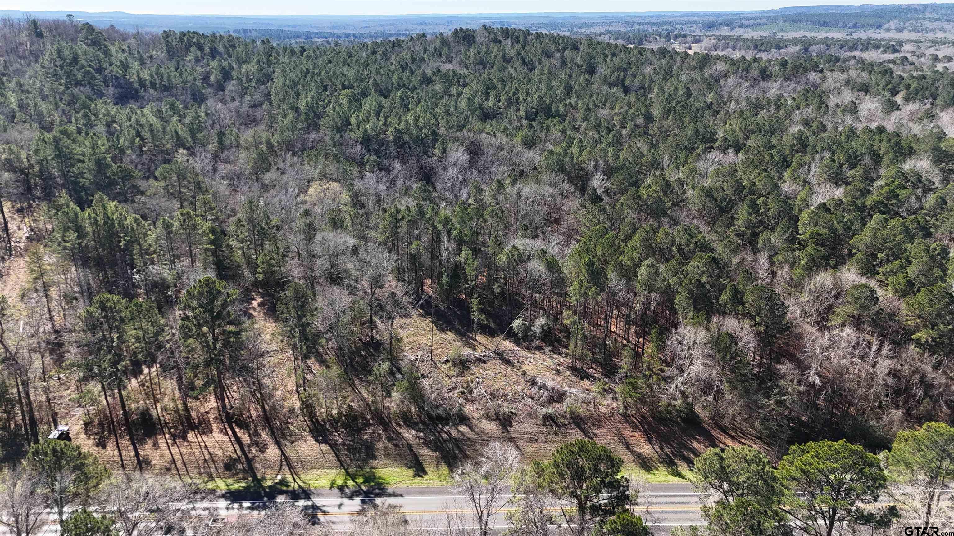 0 Hwy 84 Rusk Tx 75785 Rusk, TX 75785 - Photo 15 of 19