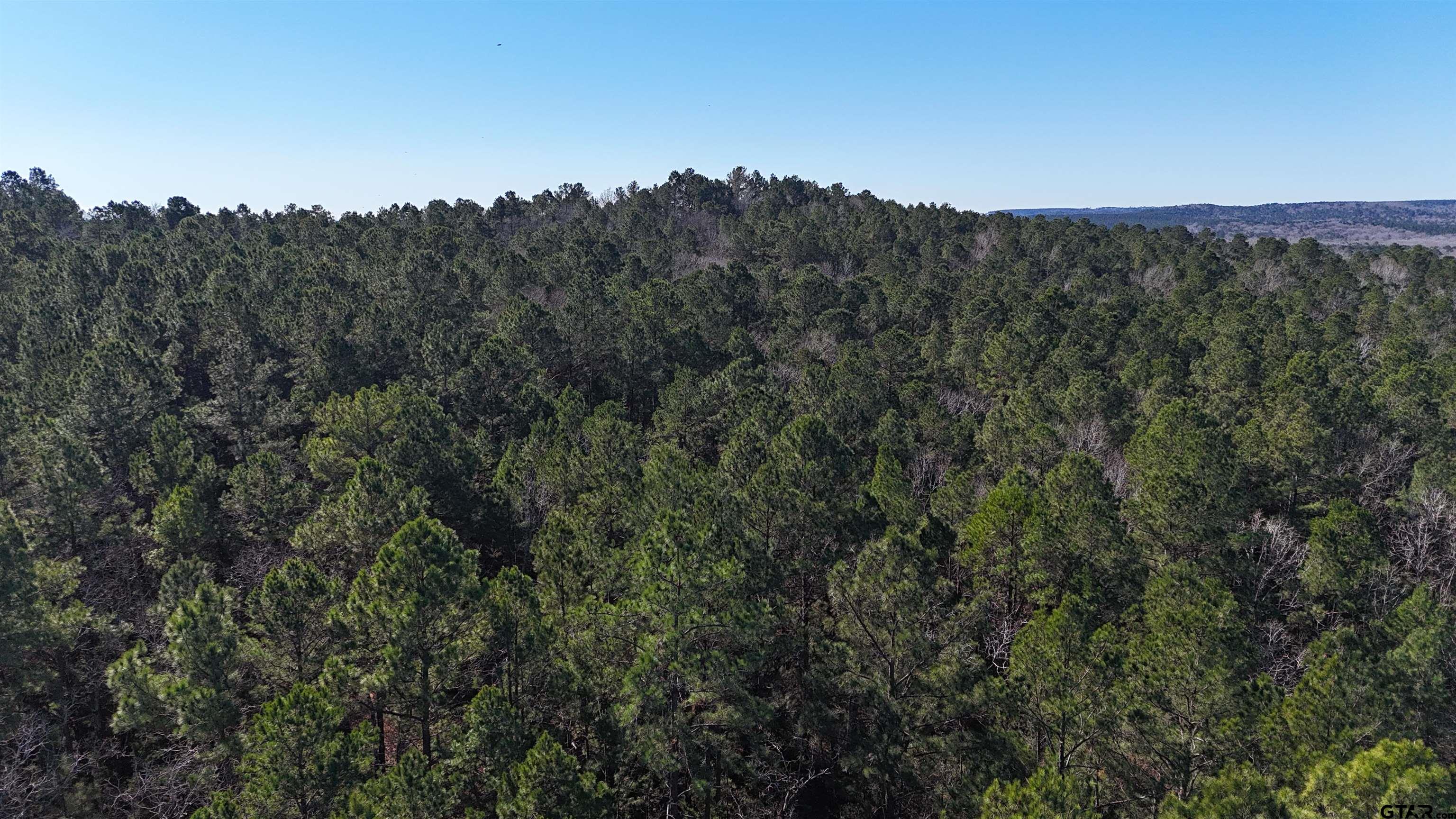 0 Hwy 84 Rusk Tx 75785 Rusk, TX 75785 - Photo 2 of 19
