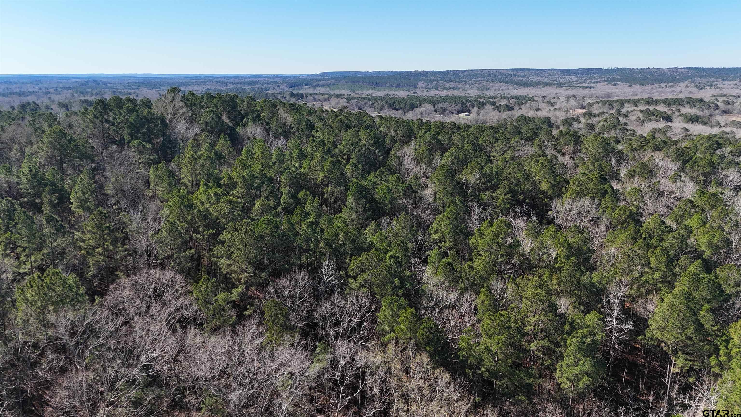 0 Hwy 84 Rusk Tx 75785 Rusk, TX 75785 - Photo 3 of 19