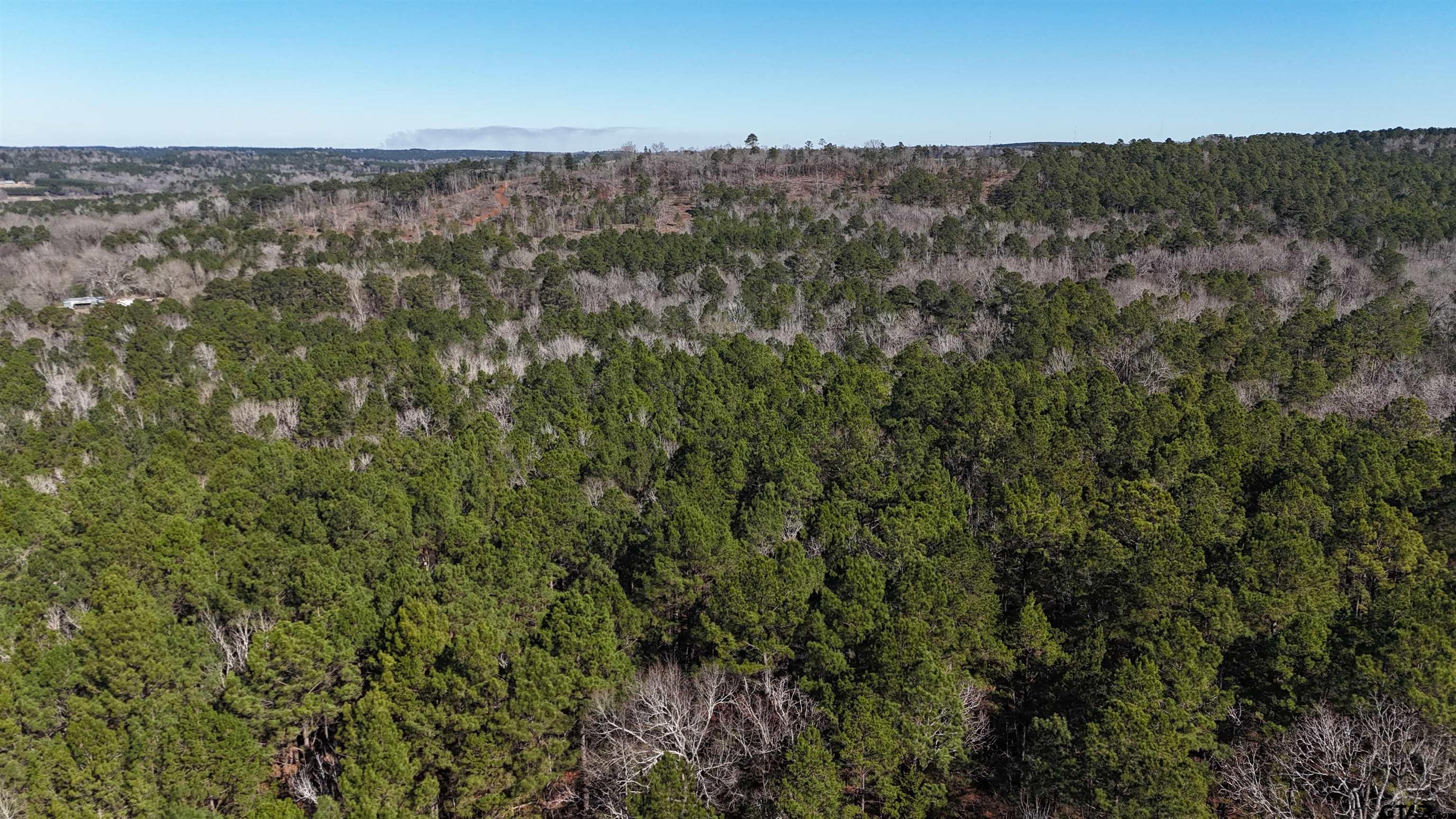 0 Hwy 84 Rusk Tx 75785 Rusk, TX 75785 - Photo 4 of 19