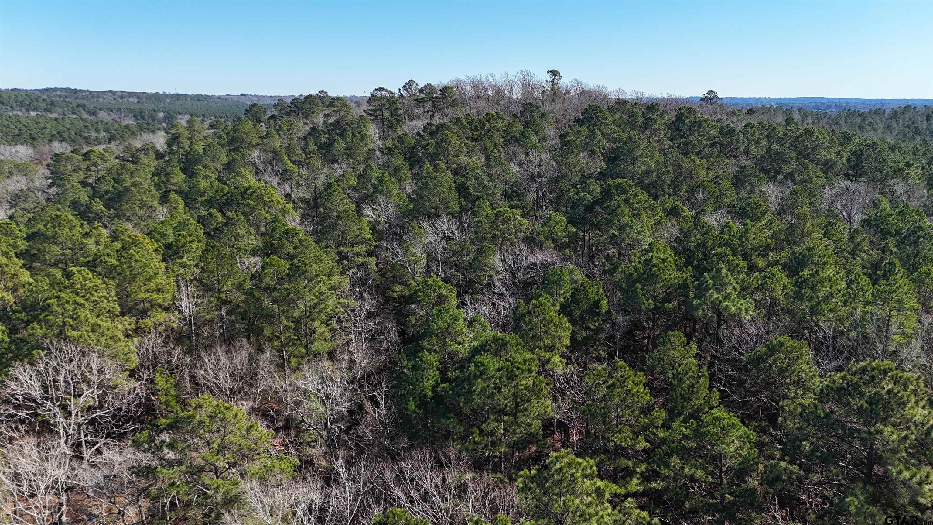 0 Hwy 84 Rusk Tx 75785 Rusk, TX 75785 - Photo 5 of 19