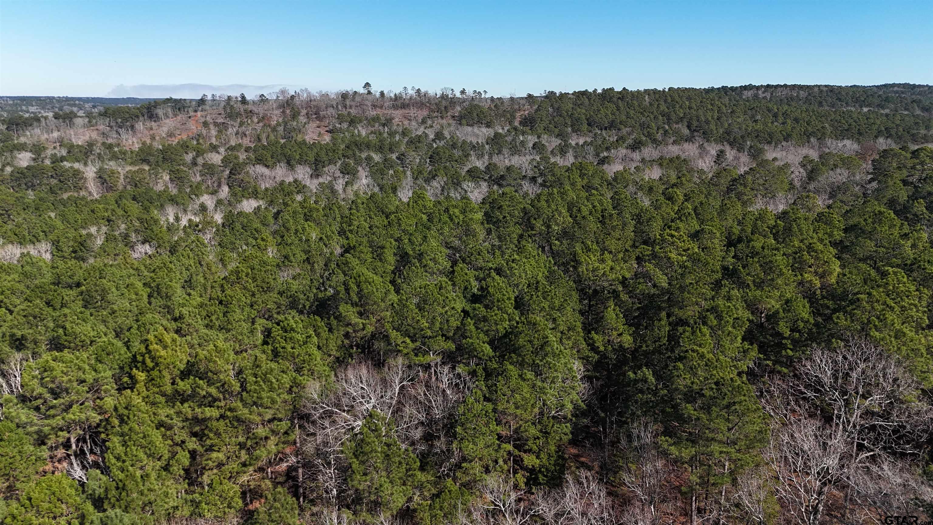 0 Hwy 84 Rusk Tx 75785 Rusk, TX 75785 - Photo 6 of 19