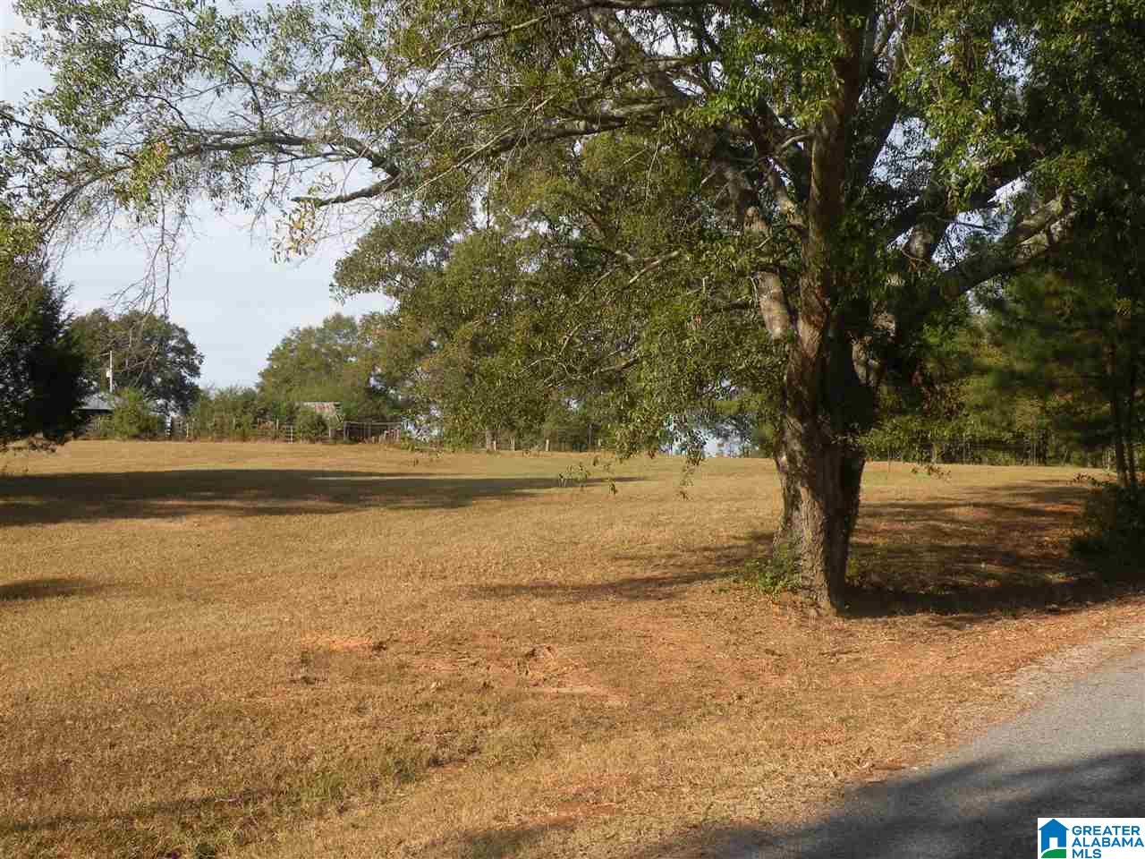 390 Five Oaks Lane Alpine, AL 35014 - Photo 28 of 29