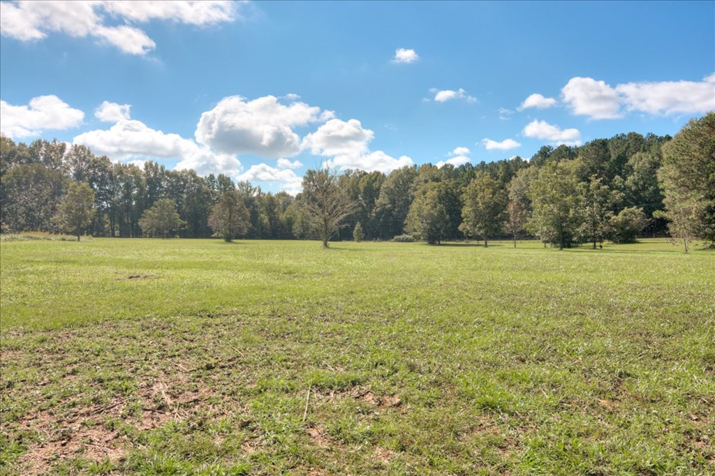 213 Davidson Road Crawfordville, GA 30631 - Photo 45 of 55 Gallery Image 45