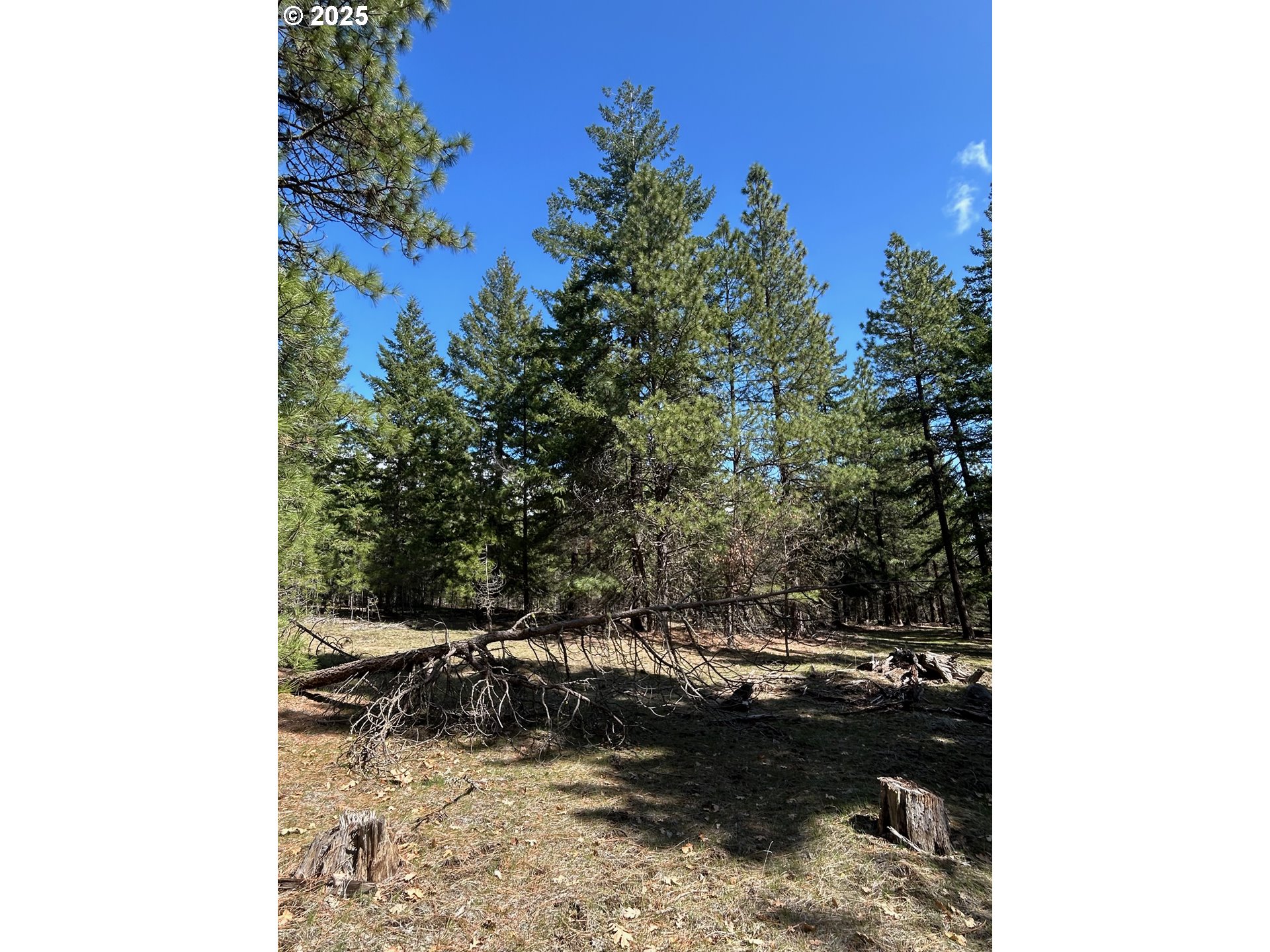 3 Thompson Trail Goldendale, WA 98620 - Photo 14 of 27 a view of a yard with wooden fence