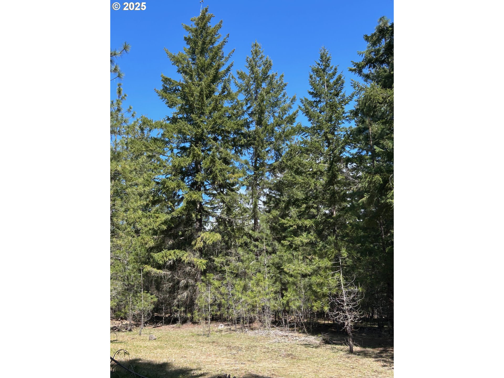 3 Thompson Trail Goldendale, WA 98620 - Photo 15 of 27 a view of a yard