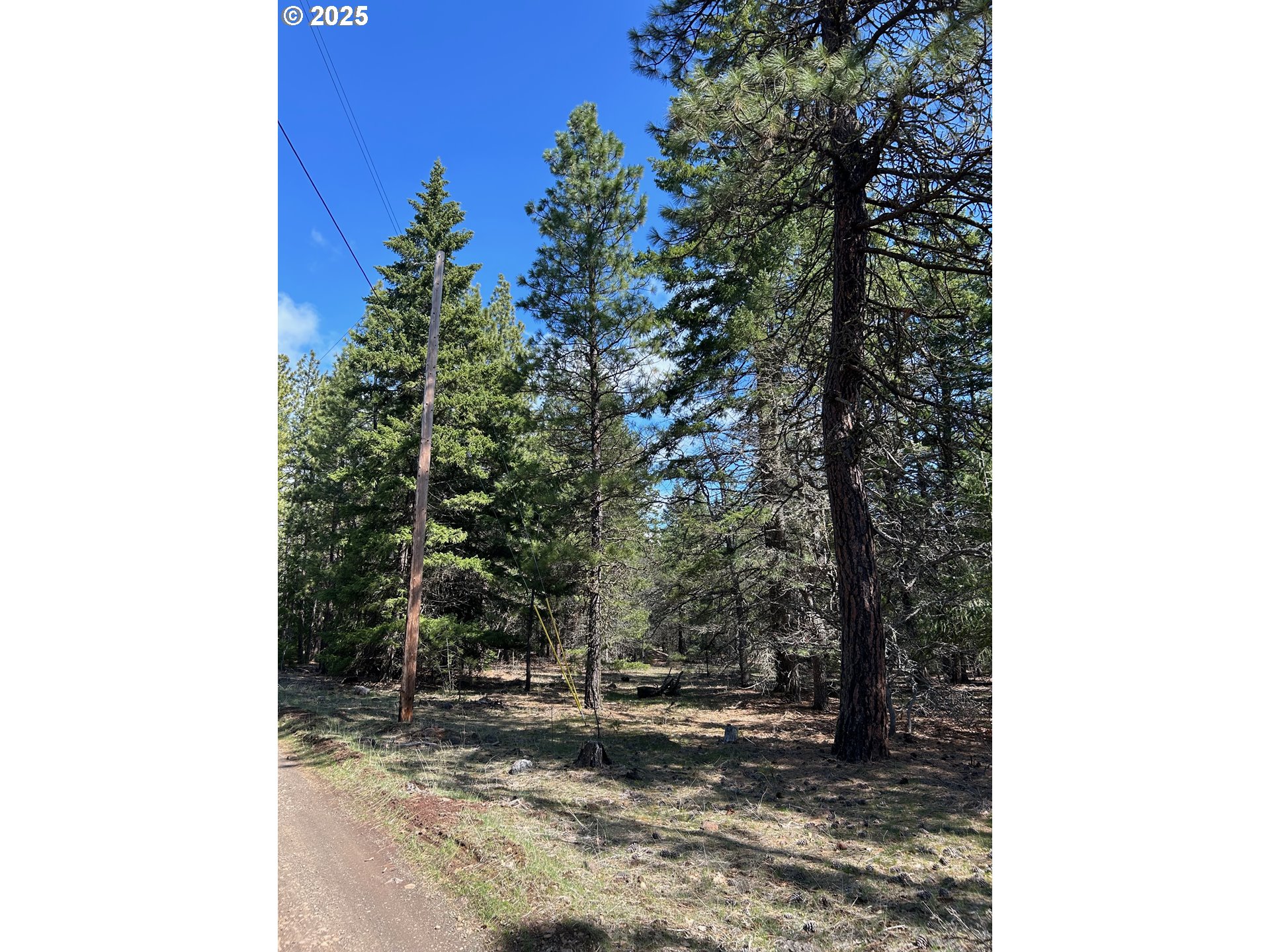 3 Thompson Trail Goldendale, WA 98620 - Photo 2 of 27 a view of a yard with trees