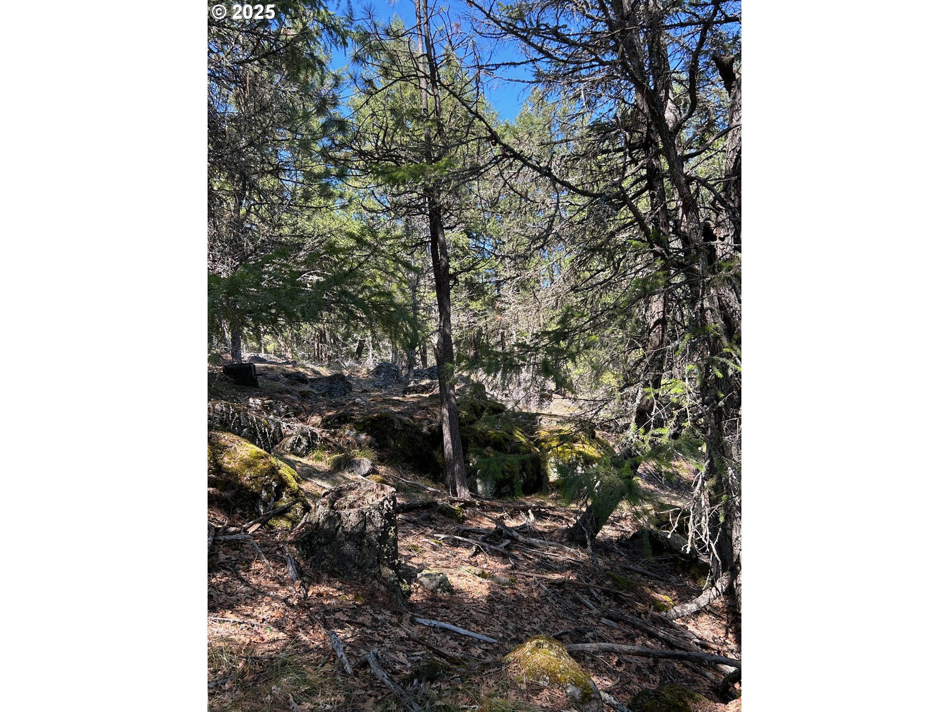 3 Thompson Trail Goldendale, WA 98620 - Photo 26 of 27 a backyard of a house