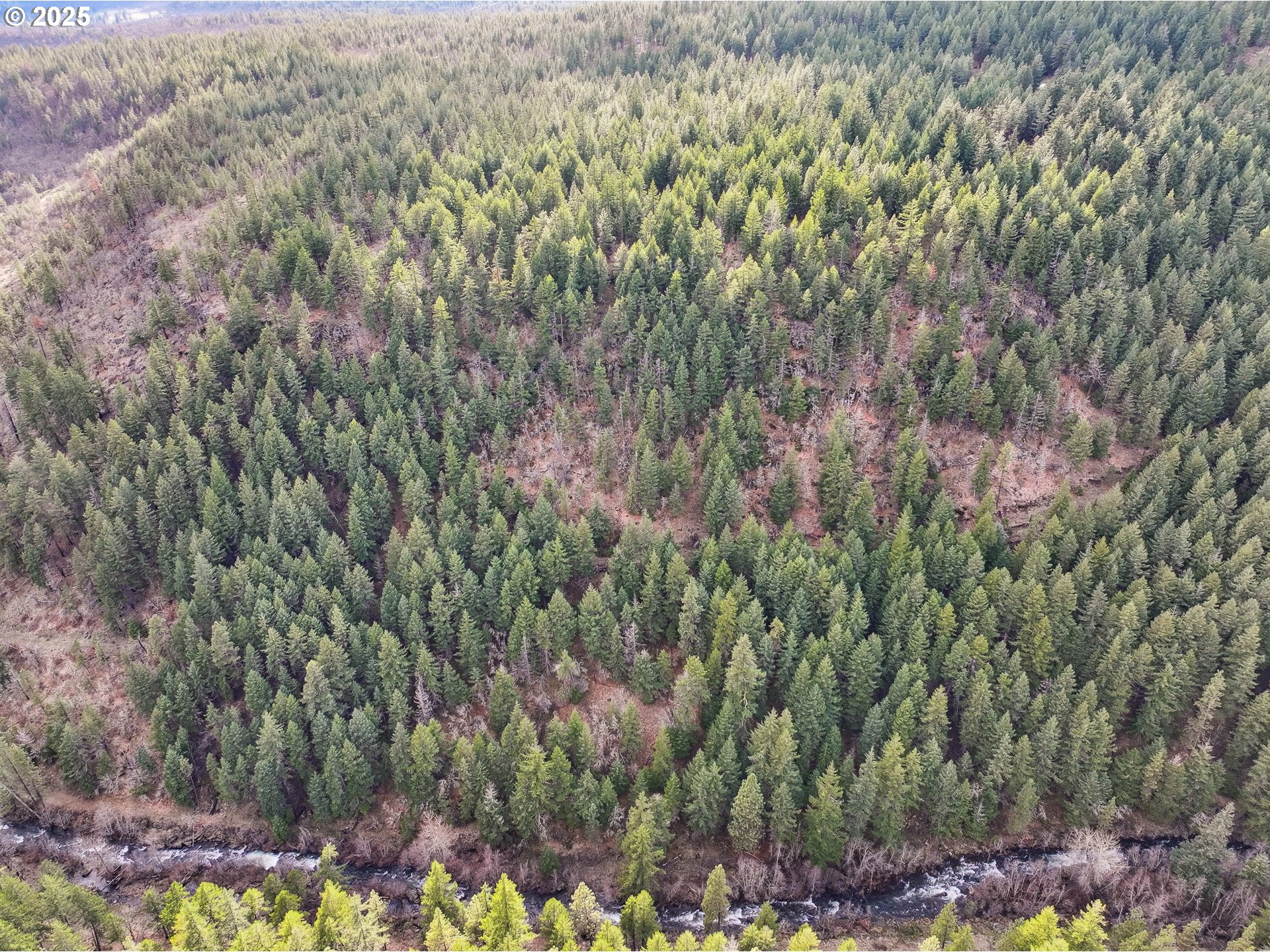 3 Thompson Trail Goldendale, WA 98620 - Photo 4 of 27 a view of a yard
