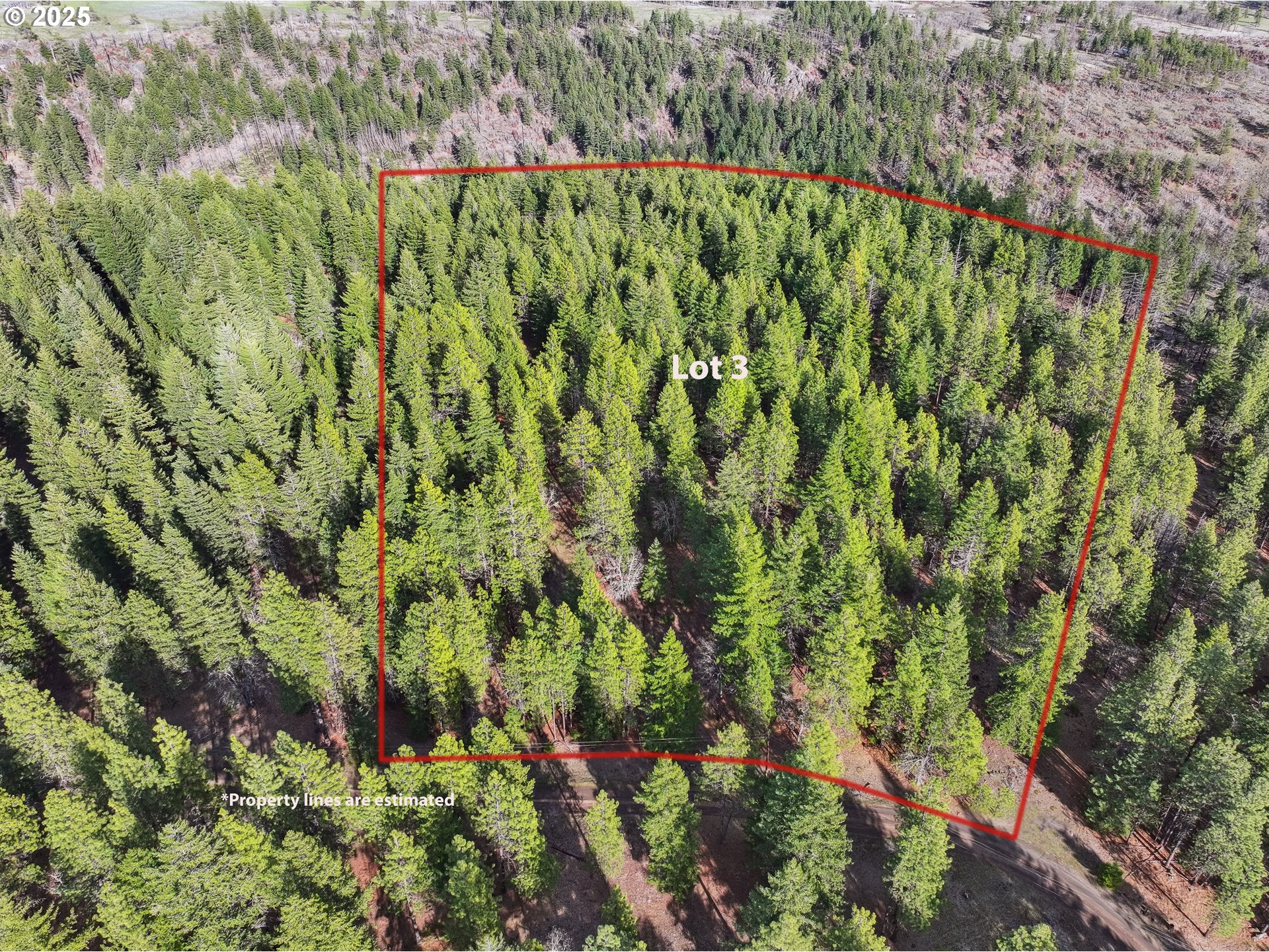 3 Thompson Trail Goldendale, WA 98620 - Photo 5 of 27 a view of a garden with a tree