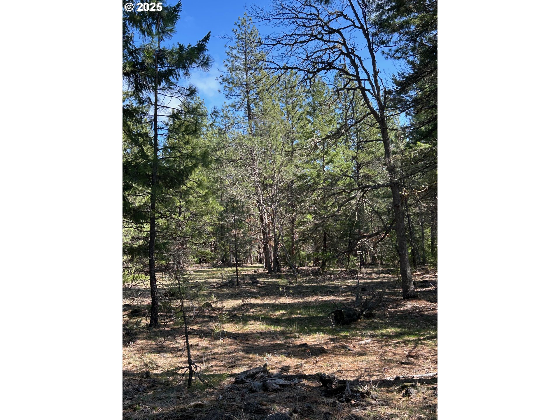 3 Thompson Trail Goldendale, WA 98620 - Photo 6 of 27 a view of outdoor space and yard