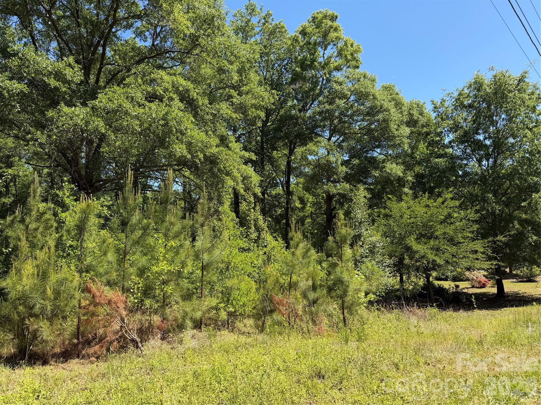 0 Providence Road Lancaster, SC 29720 - Photo 11 of 12