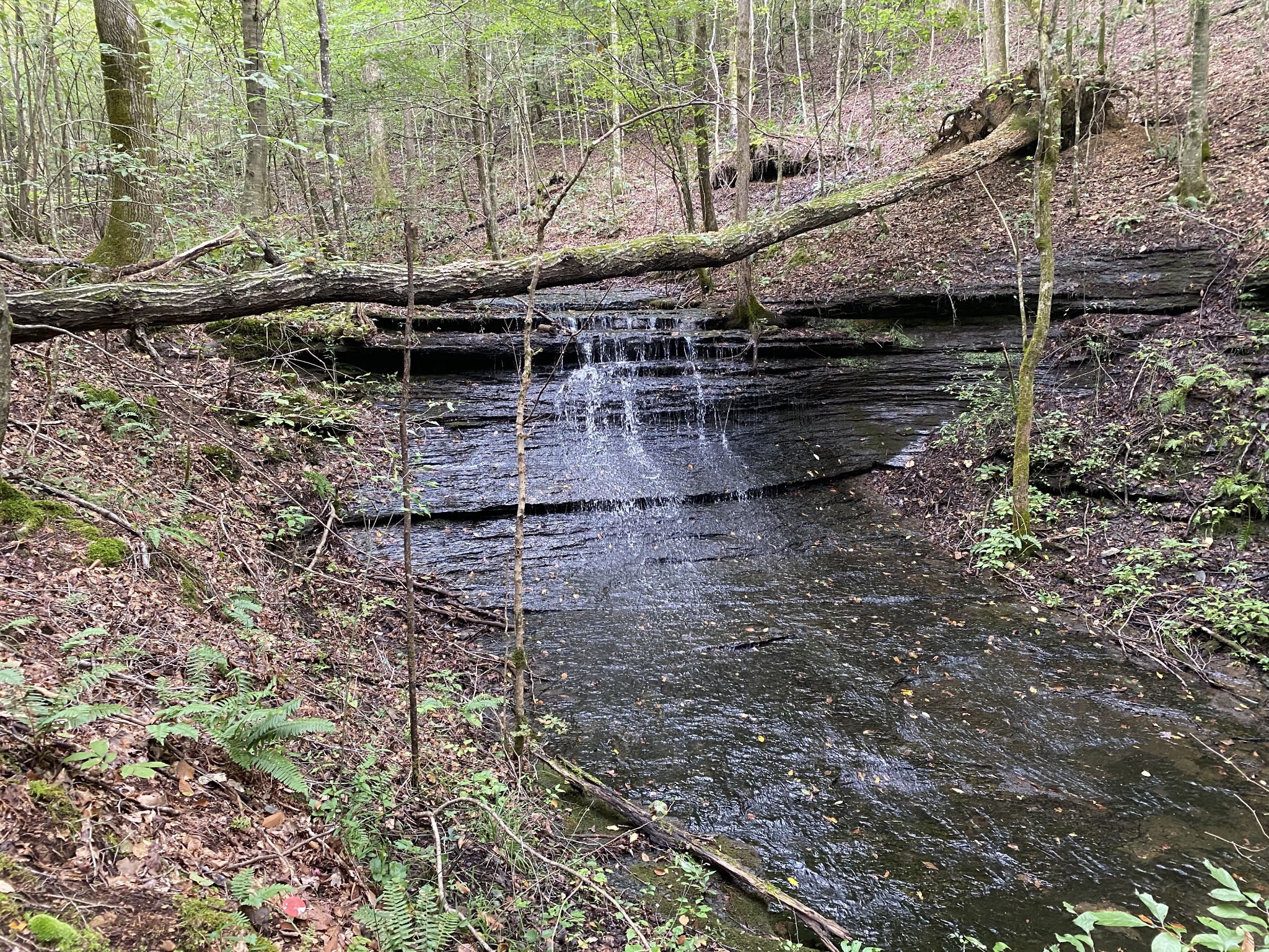 a view of swimming pool with a yard