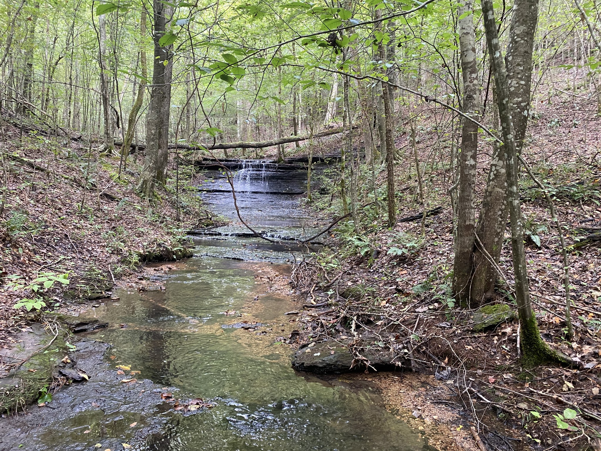 0 Blowing Springs Road Lawrenceburg, TN 38464 - Photo 14 of 23 a view of yard