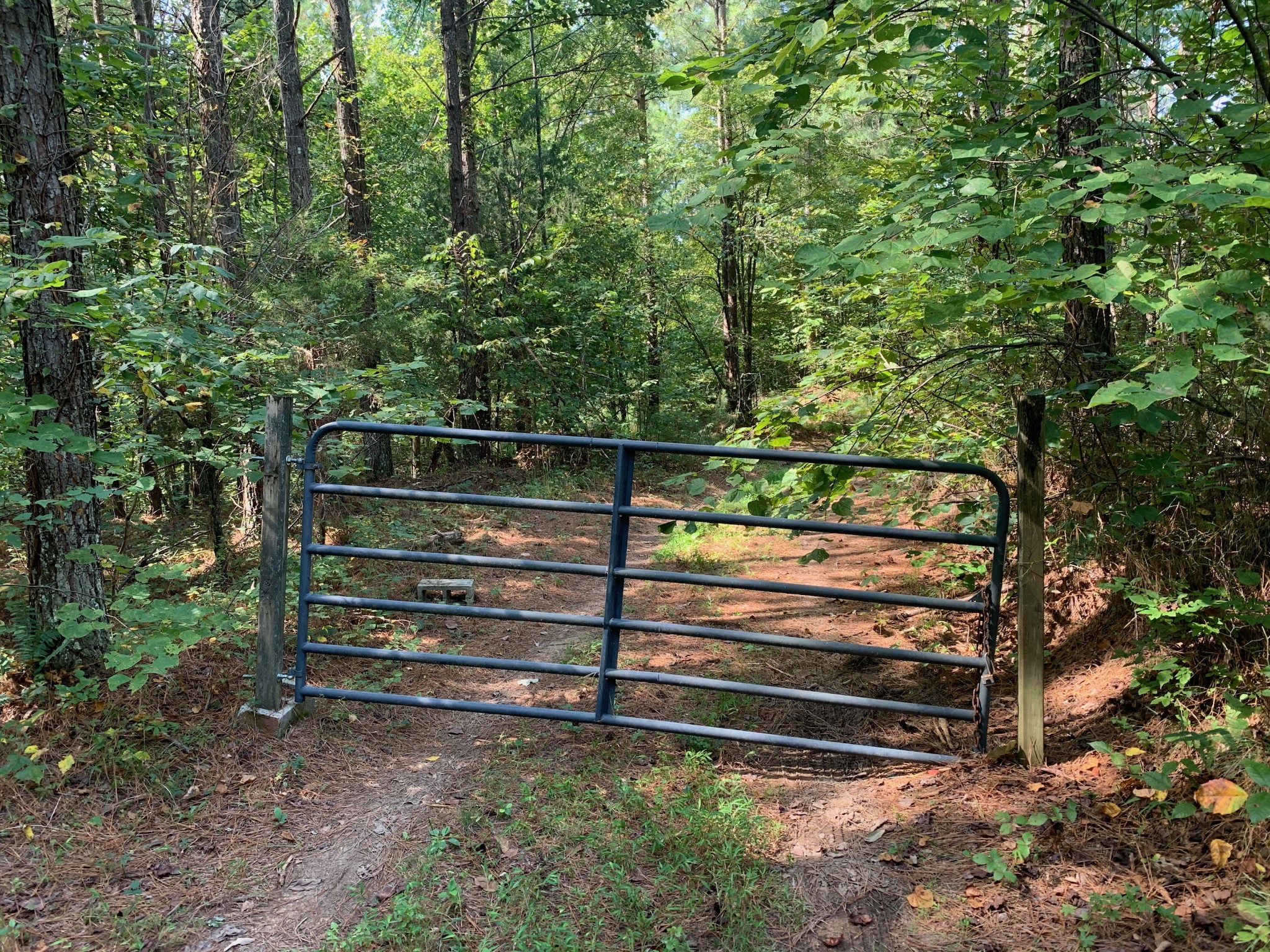 0 Blowing Springs Road Lawrenceburg, TN 38464 - Photo 17 of 23 a view of outdoor space with deck and trees