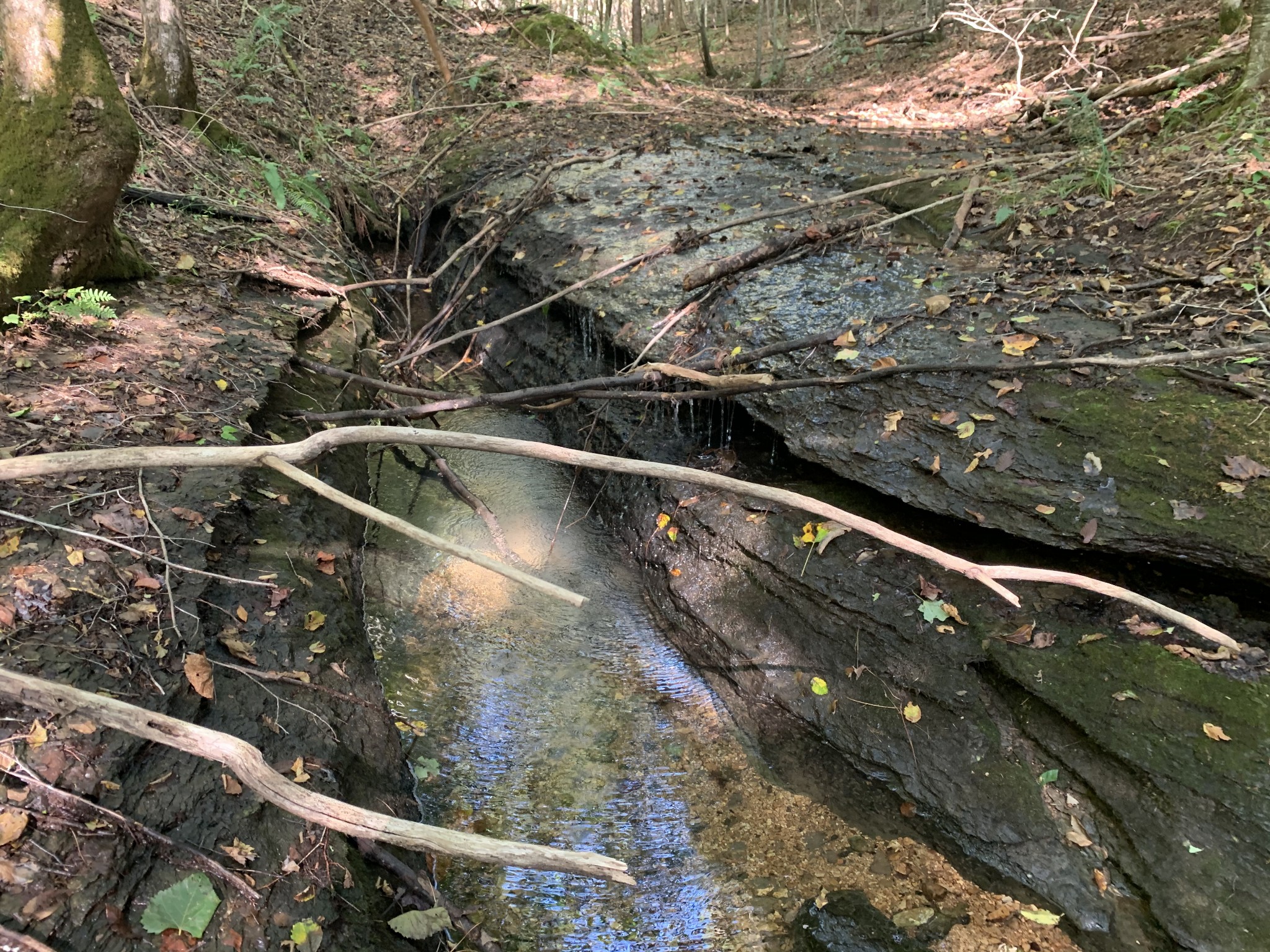0 Blowing Springs Road Lawrenceburg, TN 38464 - Photo 18 of 23 a view of outdoor space and a lake view