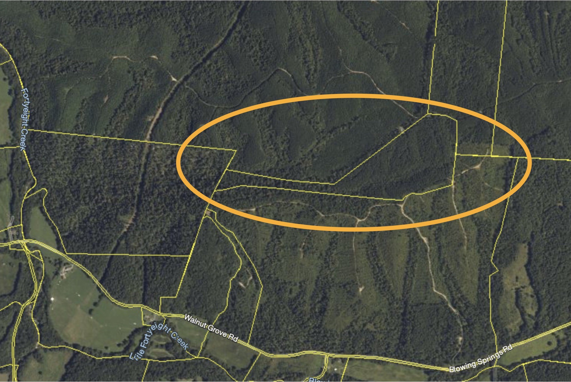 0 Blowing Springs Road Lawrenceburg, TN 38464 - Photo 22 of 23