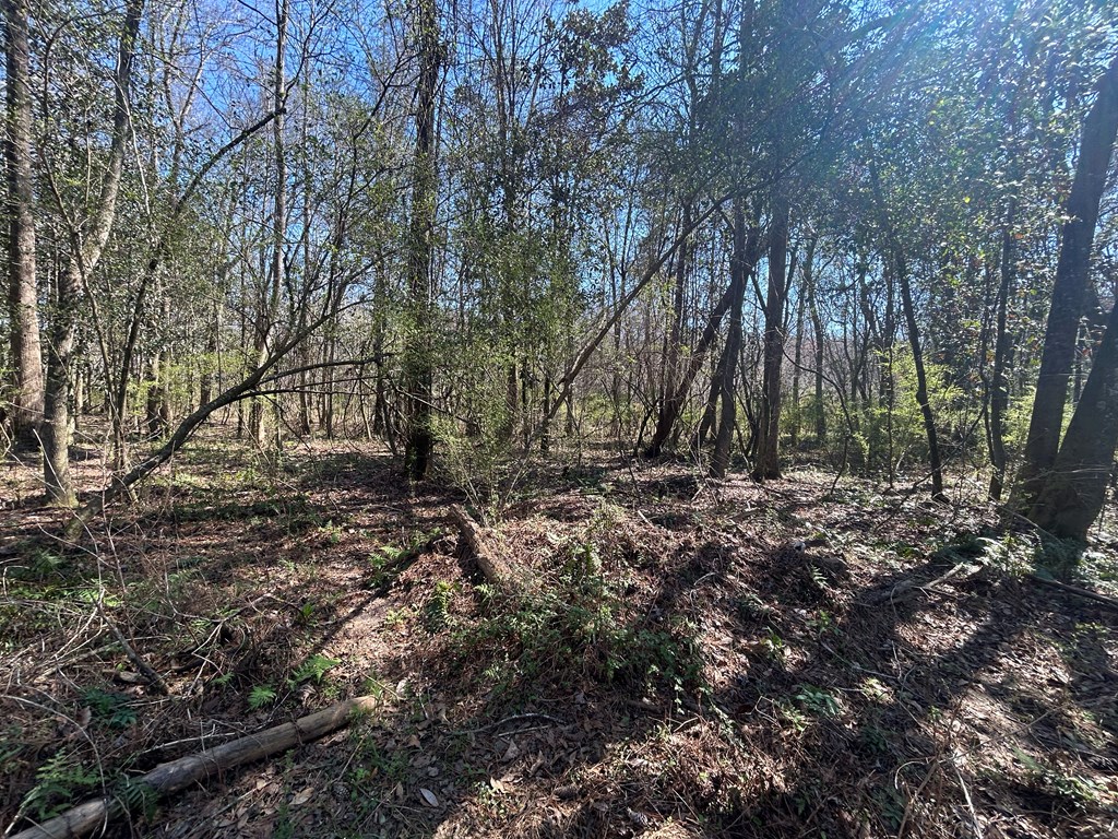 15-ac Webb Road Dothan, AL 36301 - Photo 28 of 33