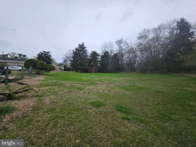 a view of a grassy field with trees in the background