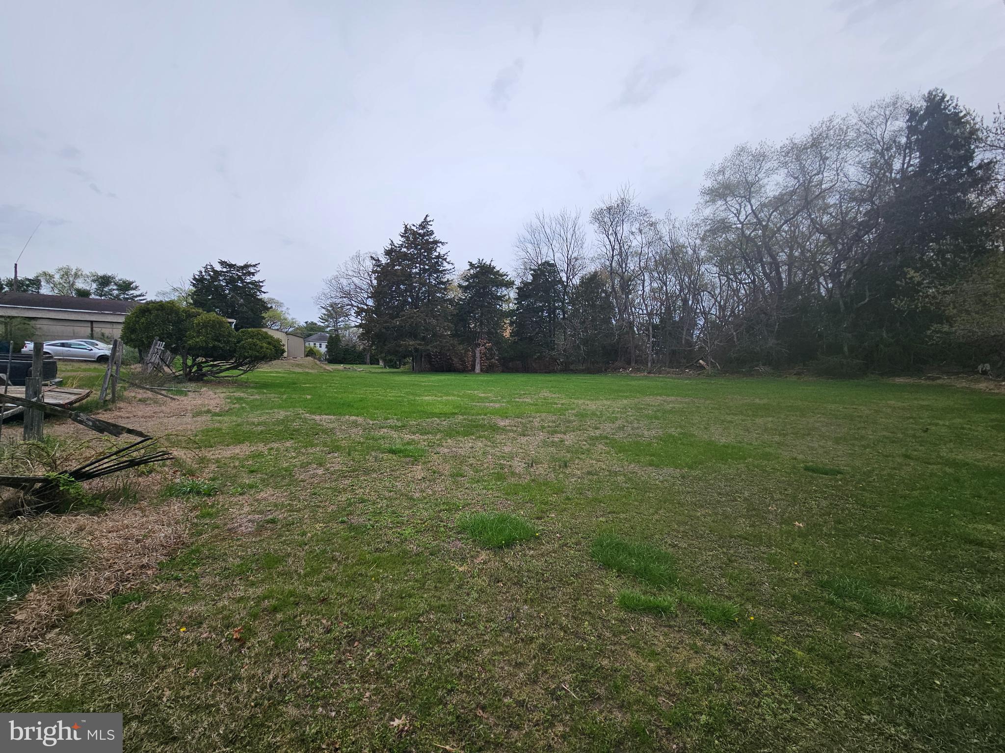 1737 South Burlington Road Bridgeton, NJ 08302 - Photo 18 of 64 a view of a field of grass and trees