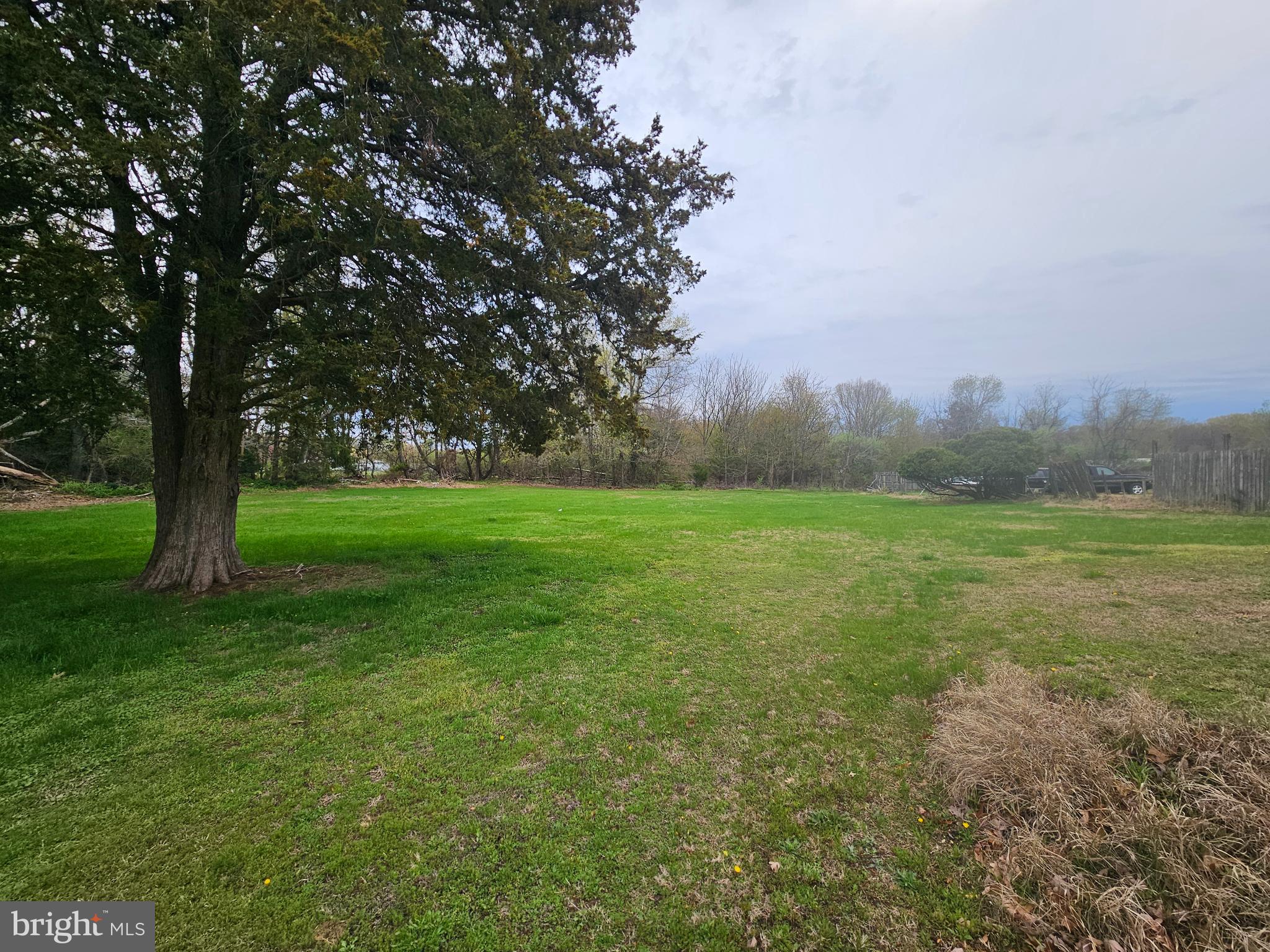 1737 South Burlington Road Bridgeton, NJ 08302 - Photo 22 of 64 a view of a grassy field with trees in the background