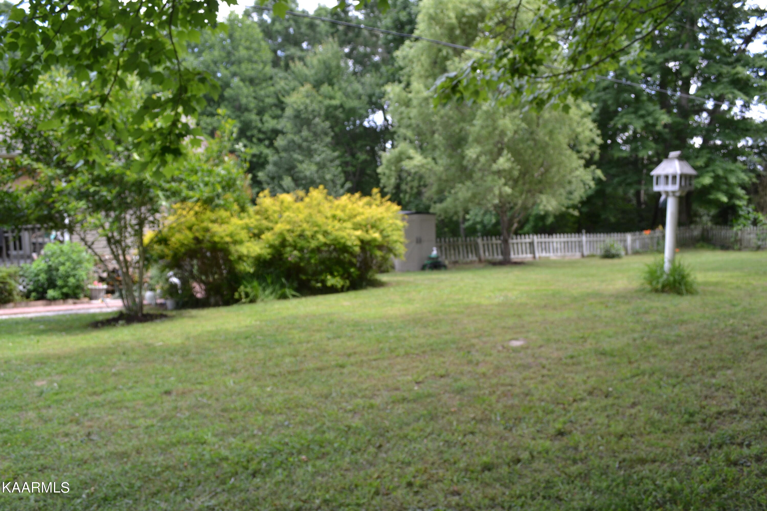 131 Mac Cole Road Deer Lodge, TN 37726 - Photo 6 of 43 DSC_0943 (1)
