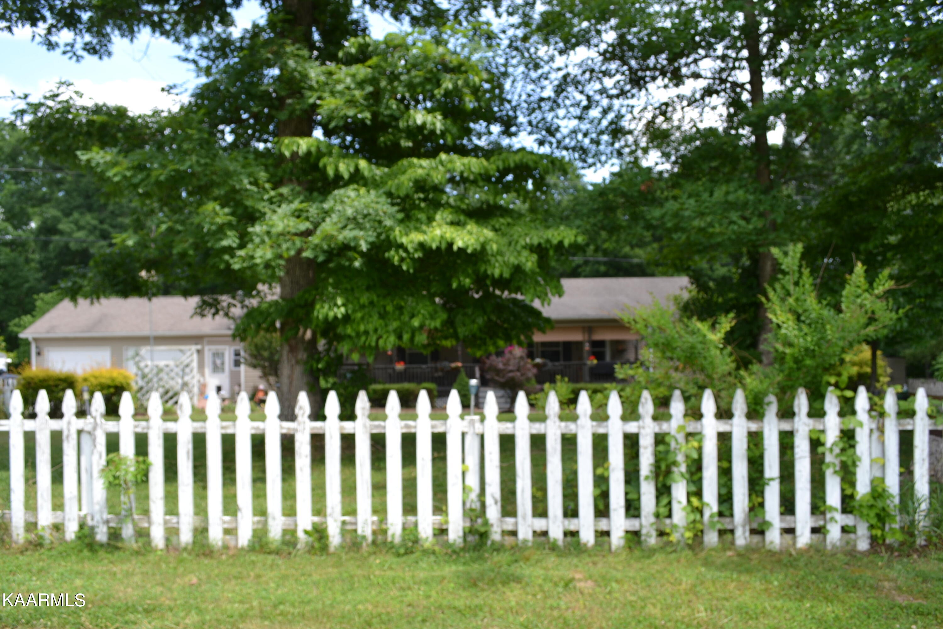 131 Mac Cole Road Deer Lodge, TN 37726 - Photo 8 of 43 DSC_0926
