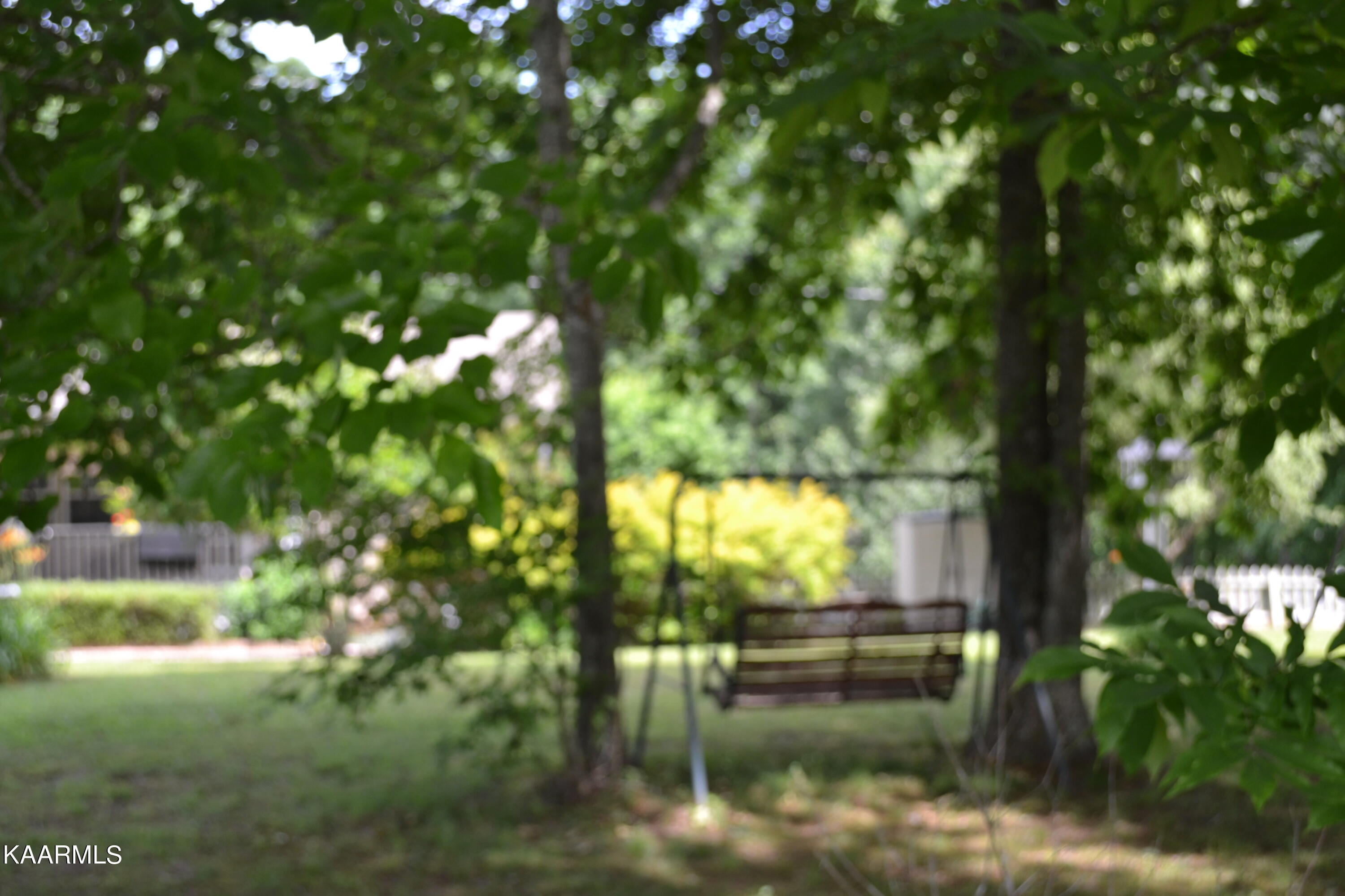 131 Mac Cole Road Deer Lodge, TN 37726 - Photo 10 of 43 DSC_0915 (1)
