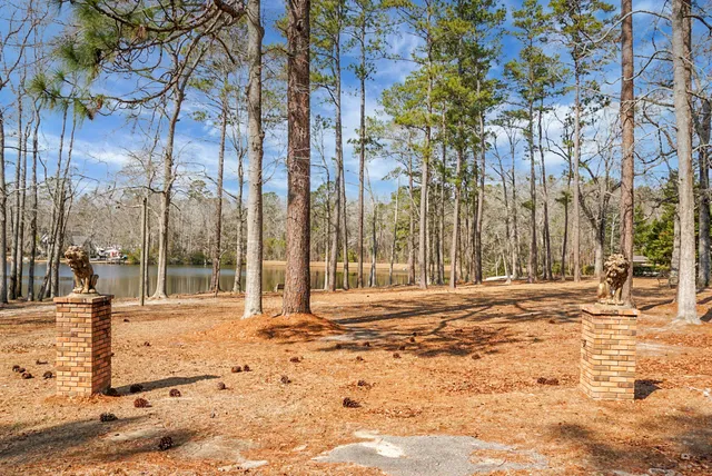 $540,000 | 1 Santee Lakes Court, Elloree, SC 29047