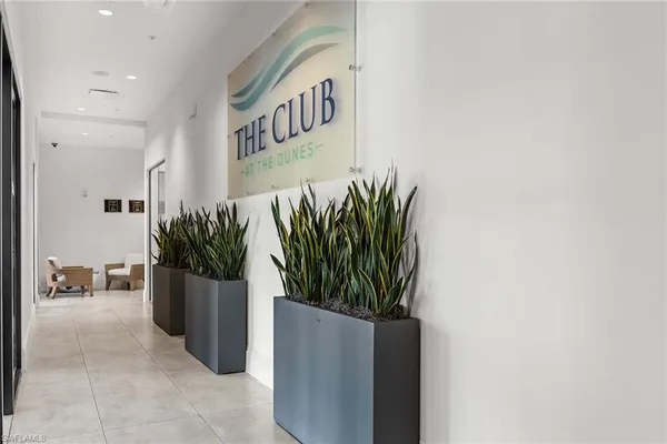 a view of potted plant in front of a building