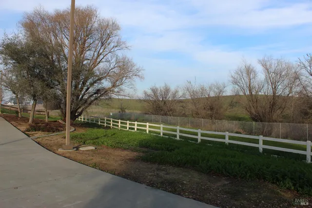 a view of a yard with palm trees