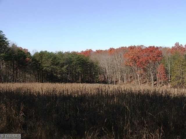 3 Shoals Rd Shoals Pinnacle, NC 27043 - Photo 2 of 11 Land. Approximately 2.2 Acre cultivated field in back joining State Park. Perfect for private estate home