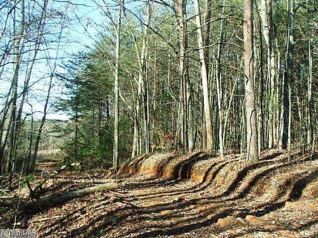 3 Shoals Rd Shoals Pinnacle, NC 27043 - Photo 3 of 11 Land. Farm road to back of property